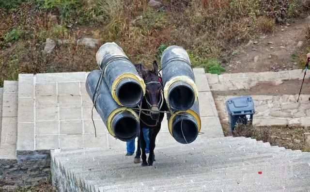绍兴马帮运输